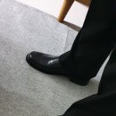 뉴팽글