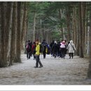 산과바다 이미지