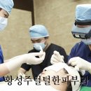 모발자유
