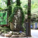 장태산휴양림 이미지