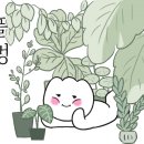 림미장원