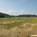 파라다이스-I 이미지