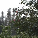 신흥2리 마을회관 이미지