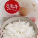 즉석밥 추천 햇반 더미식 오뚜기밥 3개 비교 후기