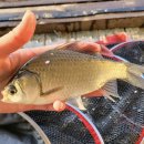 신월낚시터 이미지