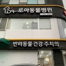 로아동물병원 | [군포동물병원] 군포 로아동물병원 | 친절하고 꼼꼼한 진료 후기.
