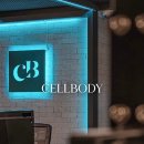 셀바디 이미지