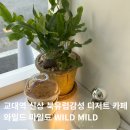 교대 정인빌딩 | 교대역 신상 북유럽 감성 디저트 카페 와일드 마일드...MILD , 감도있는 공간에서 즐긴 시나몬슈페너 후기