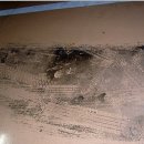 크린앤크린 이미지