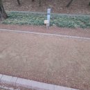 쎄봉토스트