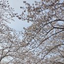 꽃내음풀내음해돋이유치원 이미지