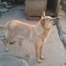 용미네농장 이미지