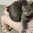 정인펜션 이미지