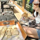 달맞이집 | 가평 베이커리카페ㅣ 제빵 명인의 집 달맞이빵 애견동반후기