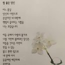 토스터리아리울 이미지