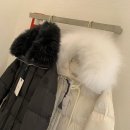 로커스텔 이미지