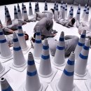 씨제이컴퍼니 이미지