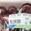 (주)케이앤씨디어트레이드 | 정신들 체리 세요