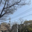[후쿠오카 여행 2일차]