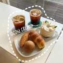 농협 정관지점 | 기장 정관베이커리카페 소금빵맛집 코지크럼 cozy crumb