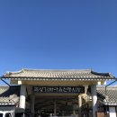 토란식당 이미지