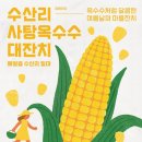 수산리-6 이미지