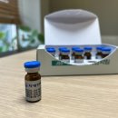 경희정재현한의원 이미지