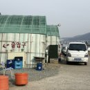 삼부자미나리 이미지