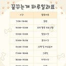 개좋은 유치원 이미지