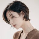 궁서채 이미지