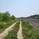 보은용사촌.펜션단지 이미지