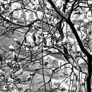 우리동내 이미지