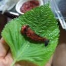 봉구헤어 이미지