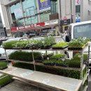 포천농약사 이미지