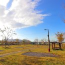 삼락오토캠핑장 이미지