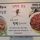 예가낙지마을삼척점 이미지