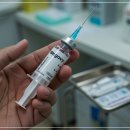 한영대구메디칼(주) | 지금 위고비 가장 저렴한 곳은 어디일까? 지역별 최저가 정리 (종로·대전·부산 등)