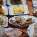엉터리 아구 네이버블로그