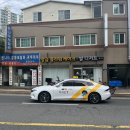 봄240