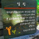 한림유치원 이미지