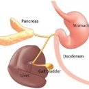 하늘동물병원 이미지