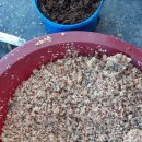 신왕지낚시터 이미지