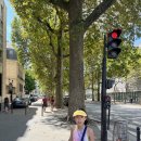 제이제이시니어예능전문학원 | [시니어어학연수] 파리(Paris) 가장 높은 몽마르뜨(Montmarte) 언덕(피카소와 달리의 예술가 마을)