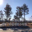 연기면_국립수목원(북쪽)보관소 | [세종] 세종국립수목원 후기, 세종국립수목원 사계절온실 예약후기