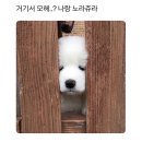 4월