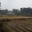 길상면-1 이미지