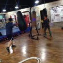 성현미트 이미지