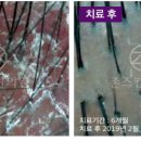 의제한의원 이미지