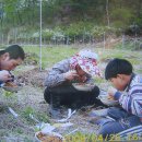 요정농장 이미지