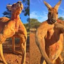 머스트무브짐 이미지